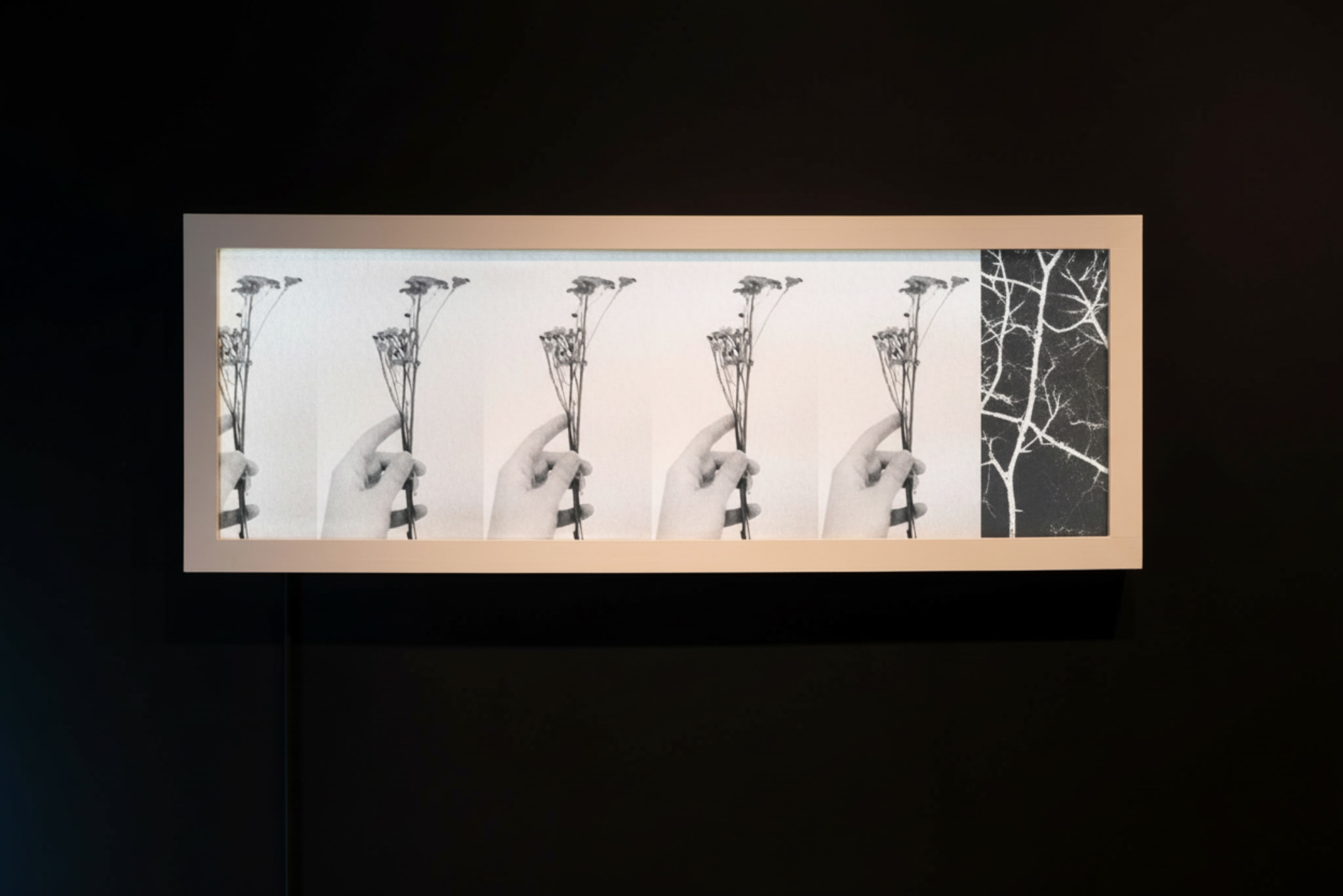 Constructed Image installation view