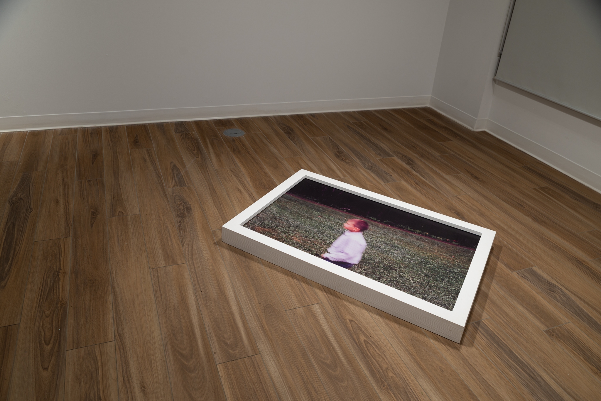 Constructed Image installation view