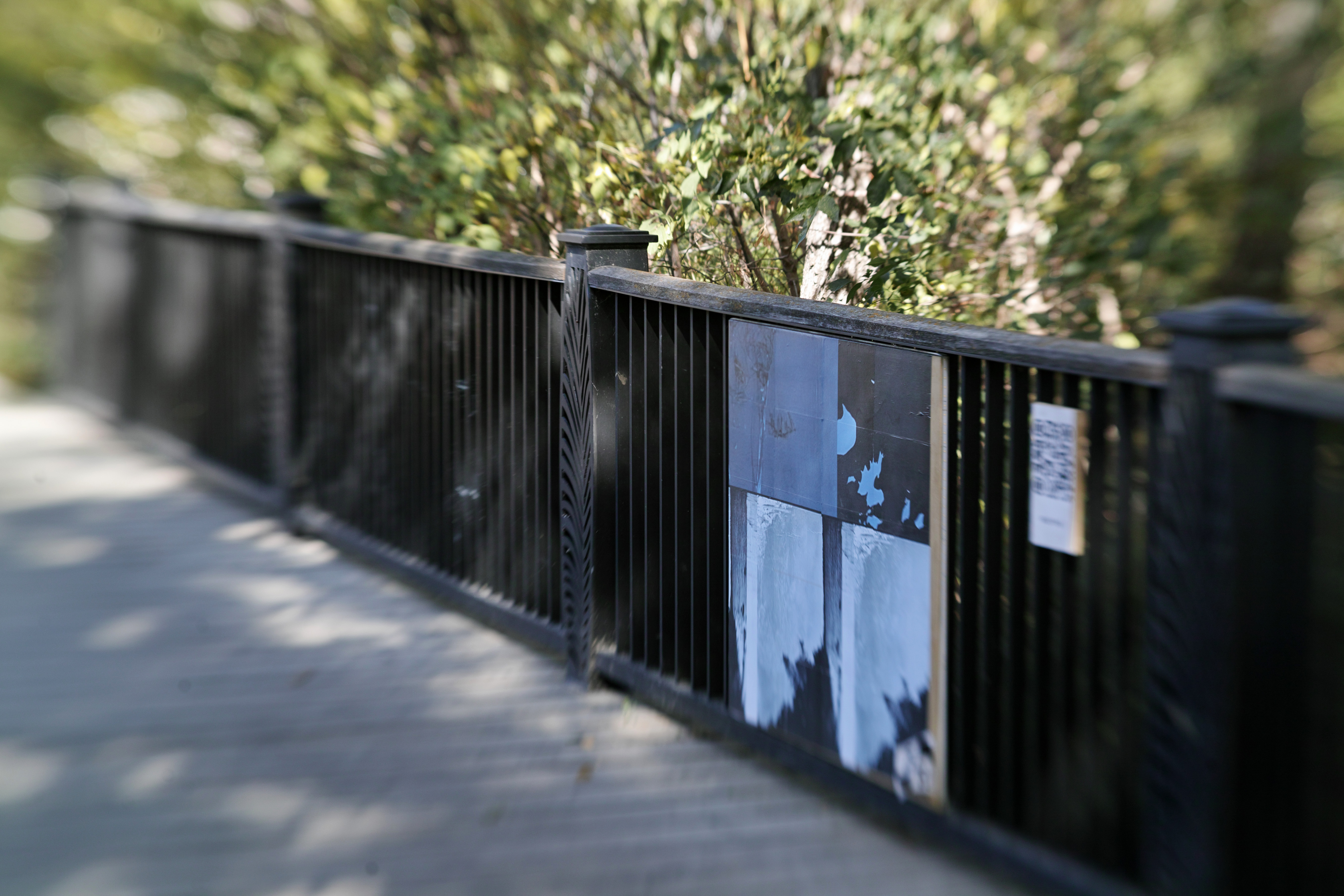 Installation view of Shimmering